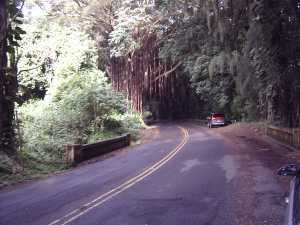 Pali Road