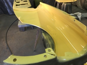 NS wings painted