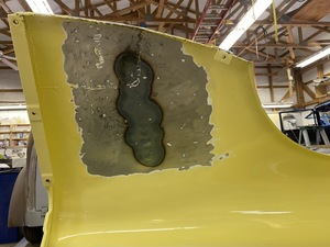 Wing shrunk